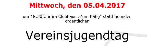 Foto zum Beitrag: Einladung zum Vereinsjugendtag 2017